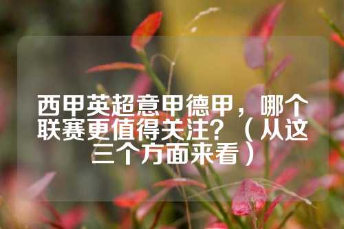 针对搜索引