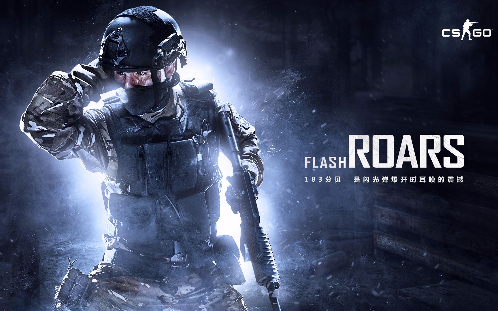 怀斯曼便是 怀斯曼便是