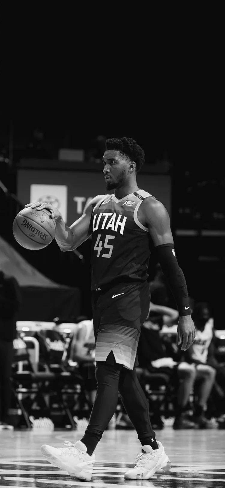 多样的选手 多样的选手