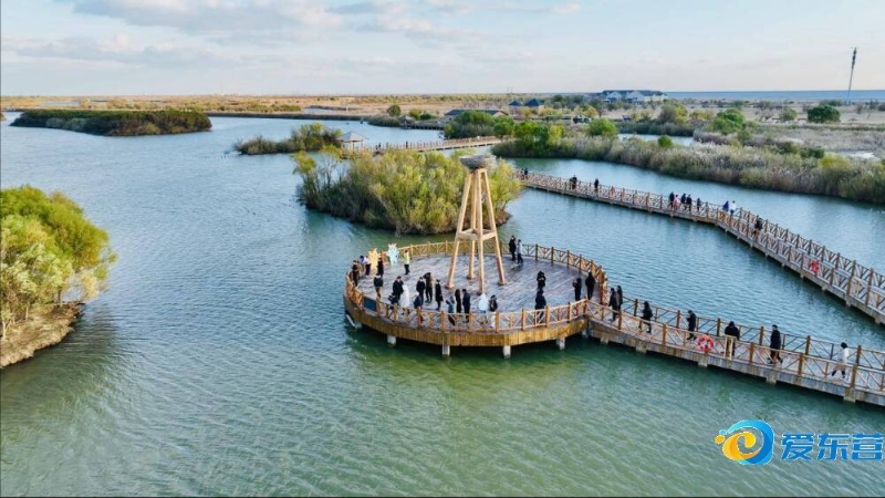 开拓者在休 开拓者在休