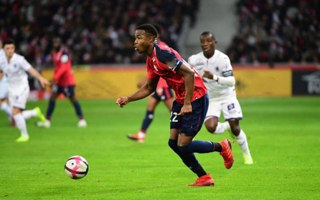 季布局中的 季布局中的