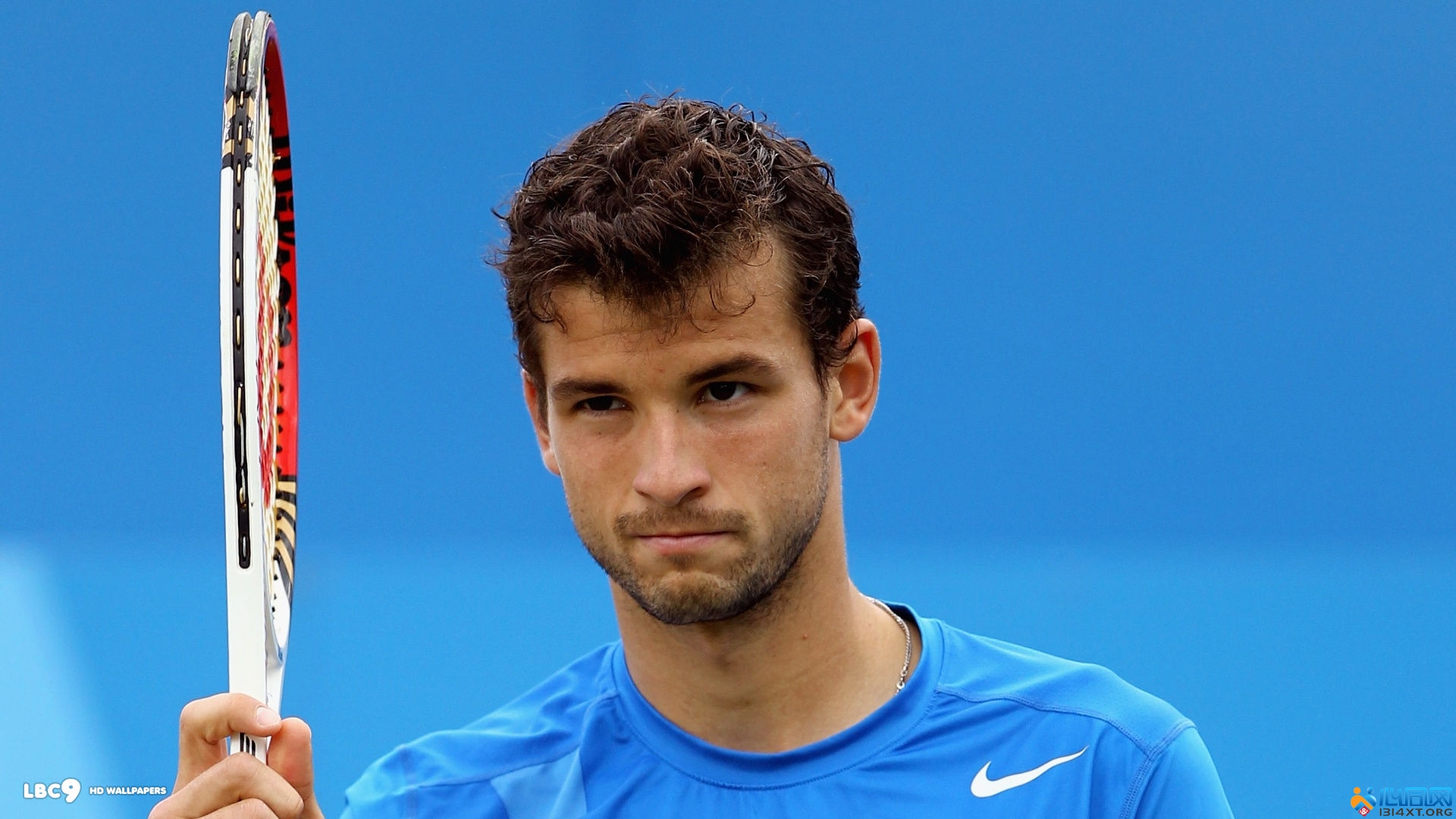 的出色表现 的出色表现